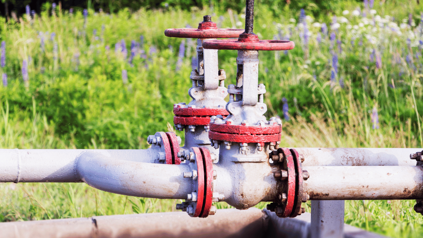 globe valves​